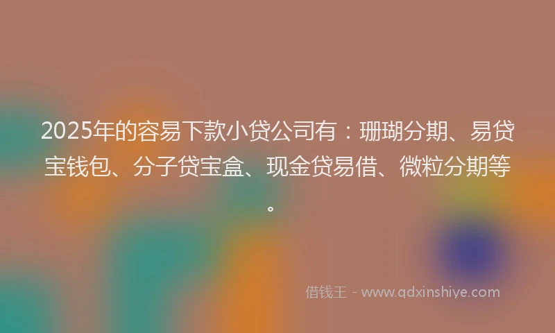 2025年的容易下款小贷公司有：珊瑚分期、易贷宝钱包、分子贷宝盒、现金贷易借、微粒分期等。