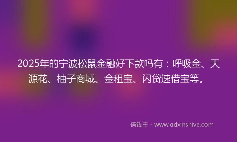 2025年的宁波松鼠金融好下款吗有：呼吸金、天源花、柚子商城、金租宝、闪贷速借宝等。