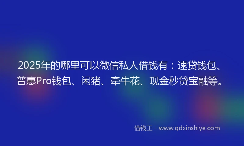 2025年的哪里可以微信私人借钱有：速贷钱包、普惠Pro钱包、闲猪、牵牛花、现金秒贷宝融等。