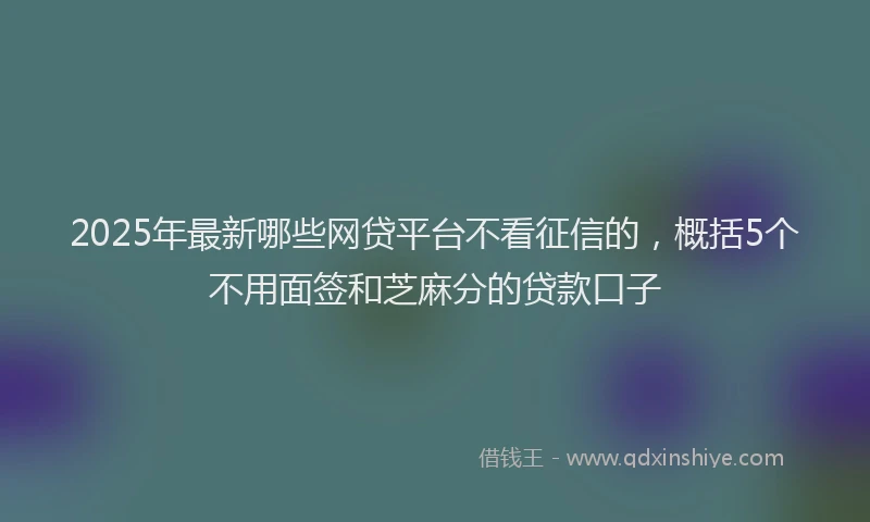 2025年最新哪些网贷平台不看征信的，概括5个不用面签和芝麻分的贷款口子