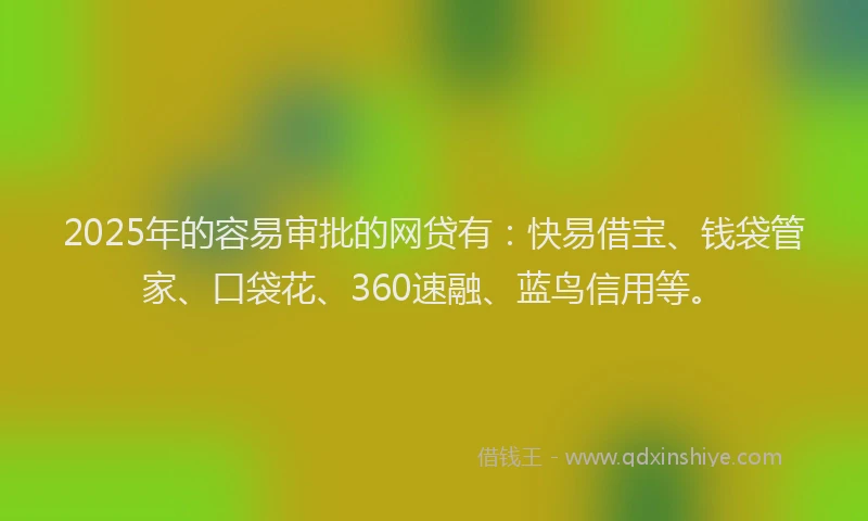 2025年的容易审批的网贷有：快易借宝、钱袋管家、口袋花、360速融、蓝鸟信用等。