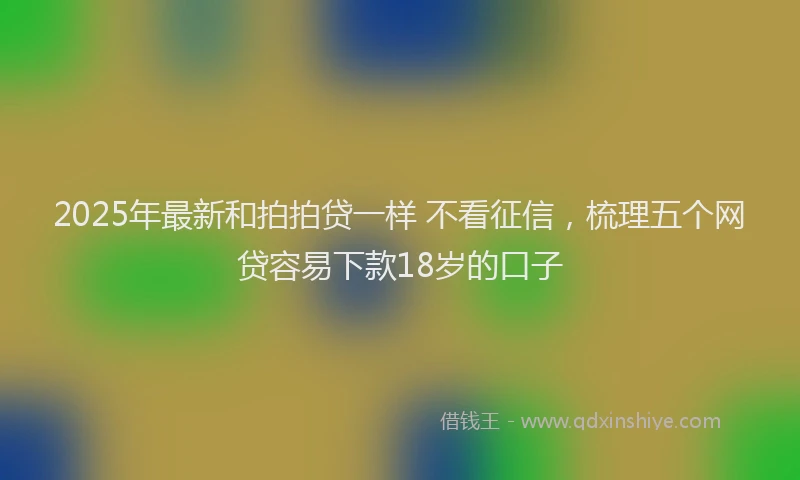 2025年最新和拍拍贷一样 不看征信，梳理五个网贷容易下款18岁的口子