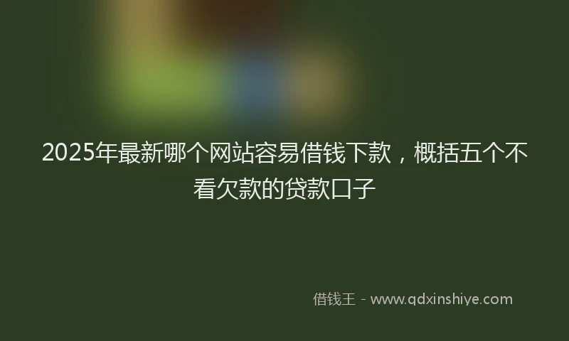 2025年最新哪个网站容易借钱下款，概括五个不看欠款的贷款口子