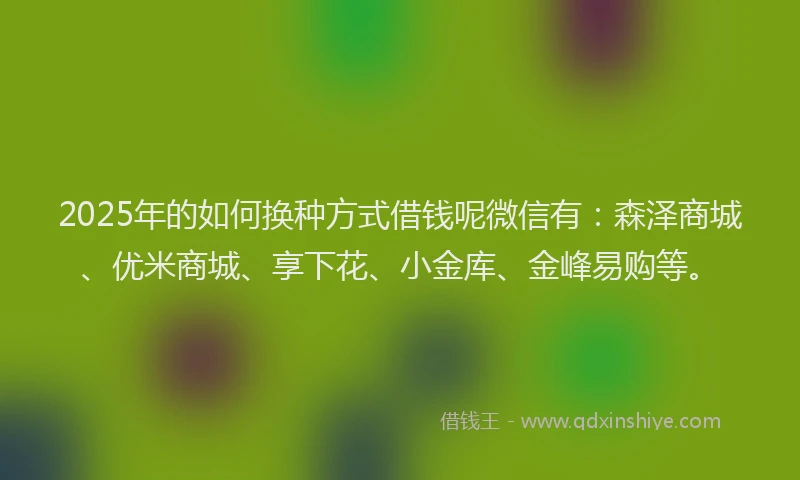 2025年的如何换种方式借钱呢微信有：森泽商城、优米商城、享下花、小金库、金峰易购等。