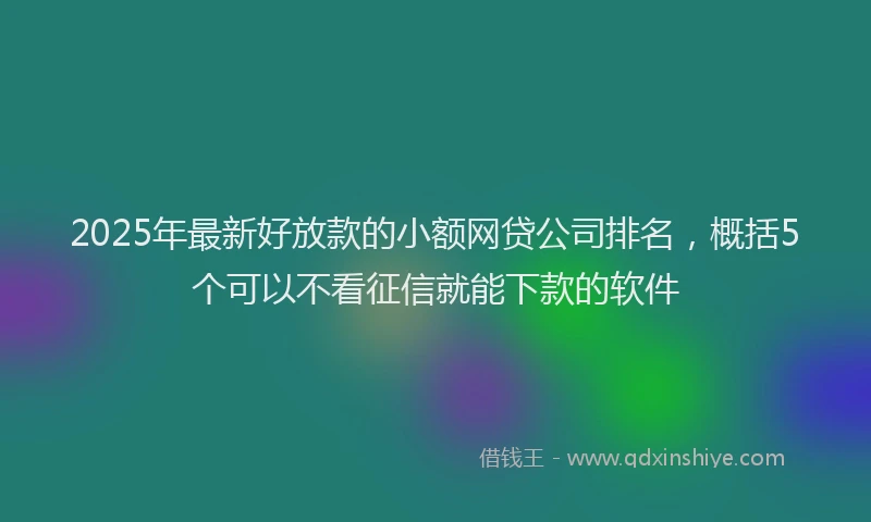 2025年最新好放款的小额网贷公司排名，概括5个可以不看征信就能下款的软件