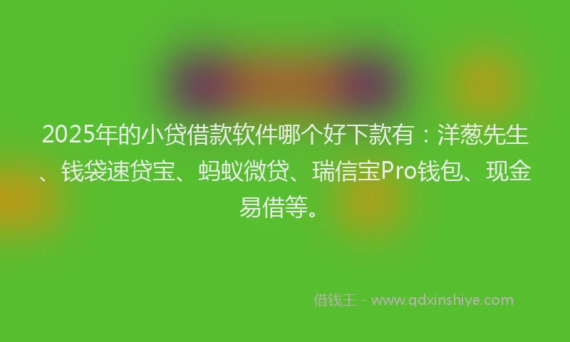 2025年的小贷借款软件哪个好下款有：洋葱先生、钱袋速贷宝、蚂蚁微贷、瑞信宝Pro钱包、现金易借等。