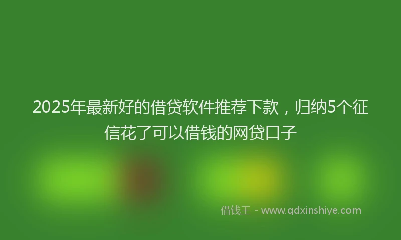 2025年最新好的借贷软件推荐下款，归纳5个征信花了可以借钱的网贷口子