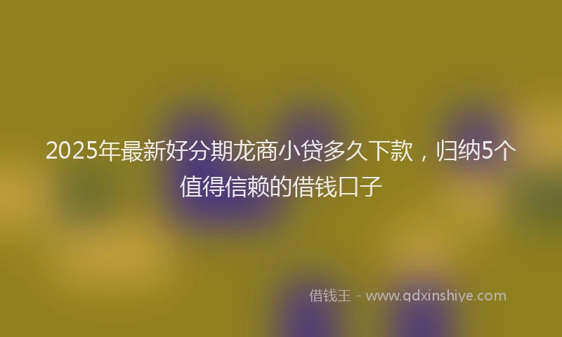 2025年最新好分期龙商小贷多久下款，归纳5个值得信赖的借钱口子