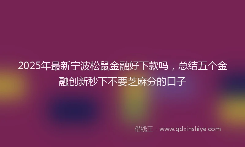 2025年最新宁波松鼠金融好下款吗，总结五个金融创新秒下不要芝麻分的口子