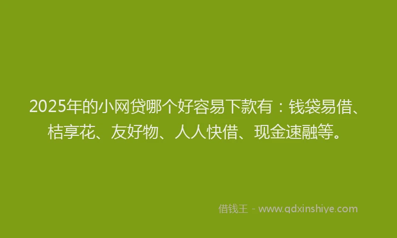 2025年的小网贷哪个好容易下款有：钱袋易借、桔享花、友好物、人人快借、现金速融等。