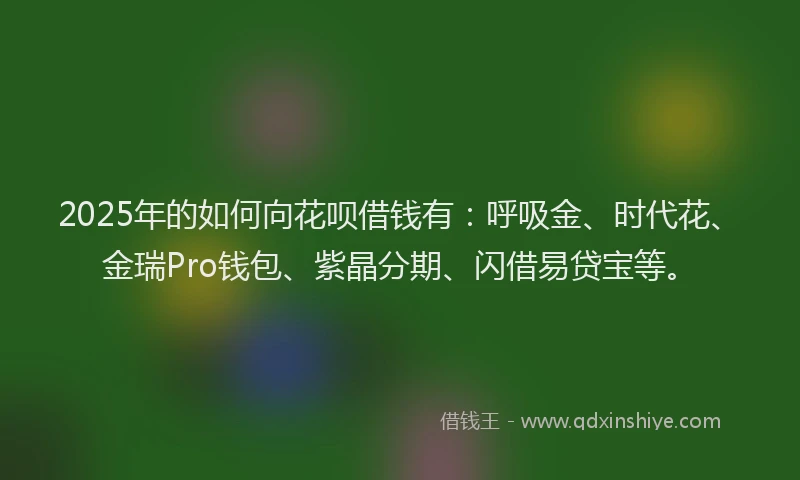 2025年的如何向花呗借钱有：呼吸金、时代花、金瑞Pro钱包、紫晶分期、闪借易贷宝等。