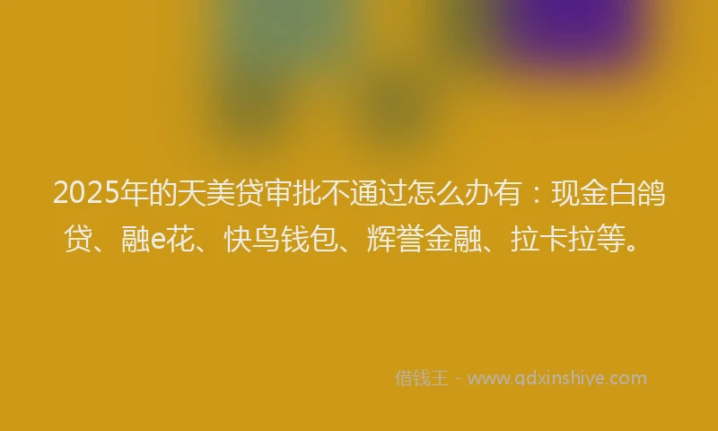 2025年的天美贷审批不通过怎么办有：现金白鸽贷、融e花、快鸟钱包、辉誉金融、拉卡拉等。