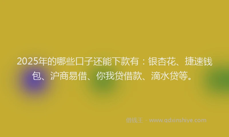 2025年的哪些口子还能下款有：银杏花、捷速钱包、沪商易借、你我贷借款、滴水贷等。