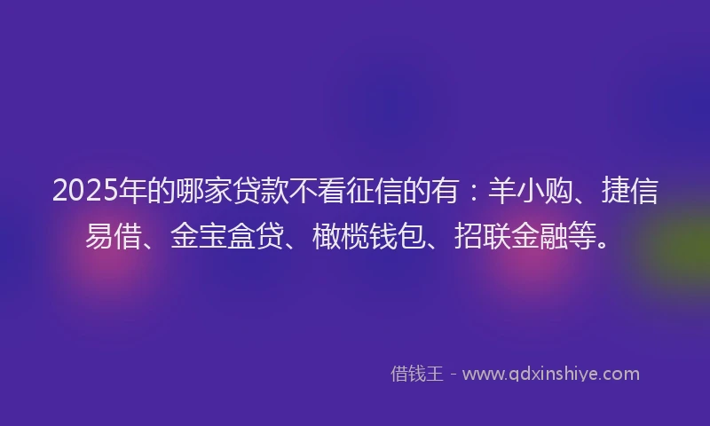 2025年的哪家贷款不看征信的有：羊小购、捷信易借、金宝盒贷、橄榄钱包、招联金融等。