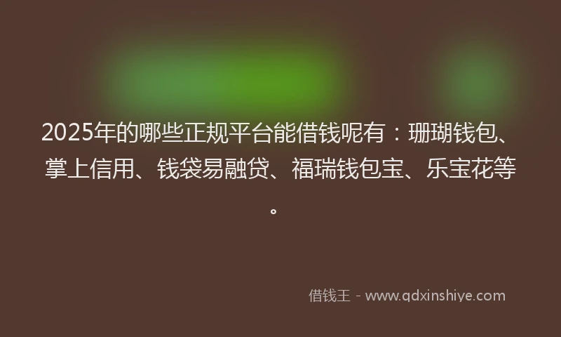 2025年的哪些正规平台能借钱呢有：珊瑚钱包、掌上信用、钱袋易融贷、福瑞钱包宝、乐宝花等。