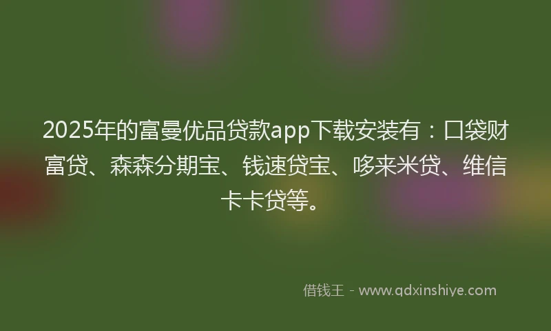 2025年的富曼优品贷款app下载安装有：口袋财富贷、森森分期宝、钱速贷宝、哆来米贷、维信卡卡贷等。