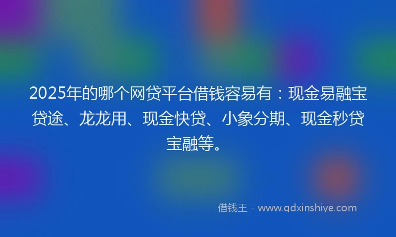 2025年的哪个网贷平台借钱容易有：现金易融宝贷途、龙龙用、现金快贷、小象分期、现金秒贷宝融等。