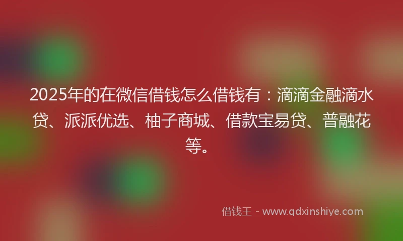 2025年的在微信借钱怎么借钱有：滴滴金融滴水贷、派派优选、柚子商城、借款宝易贷、普融花等。