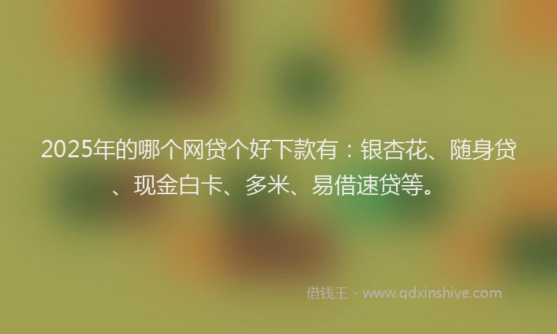 2025年的哪个网贷个好下款有：银杏花、随身贷、现金白卡、多米、易借速贷等。