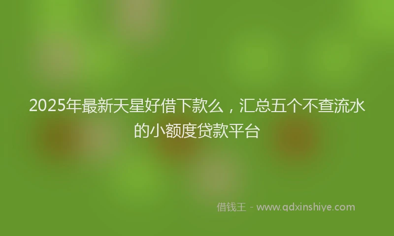 2025年最新天星好借下款么，汇总五个不查流水的小额度贷款平台