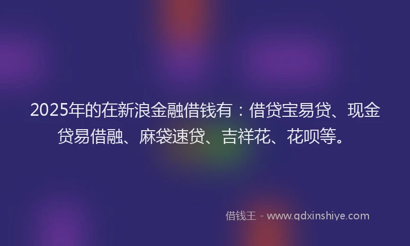 2025年的在新浪金融借钱有：借贷宝易贷、现金贷易借融、麻袋速贷、吉祥花、花呗等。