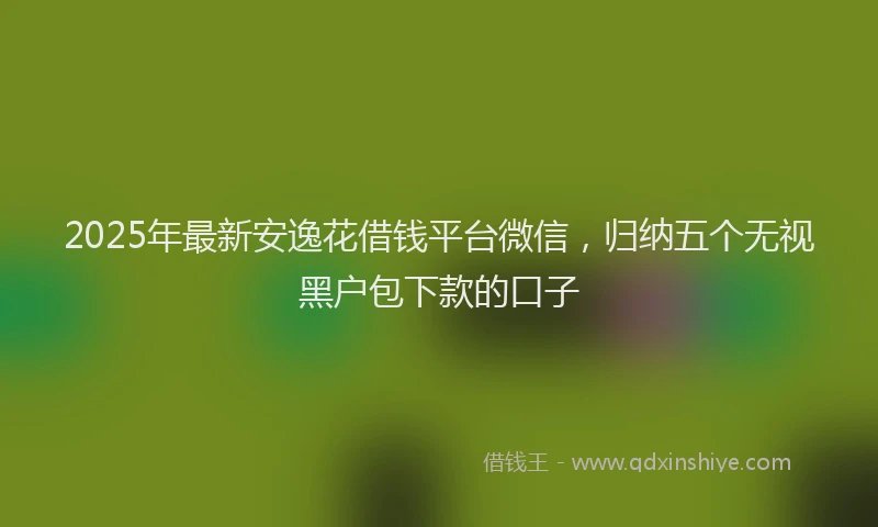 2025年最新安逸花借钱平台微信，归纳五个无视黑户包下款的口子
