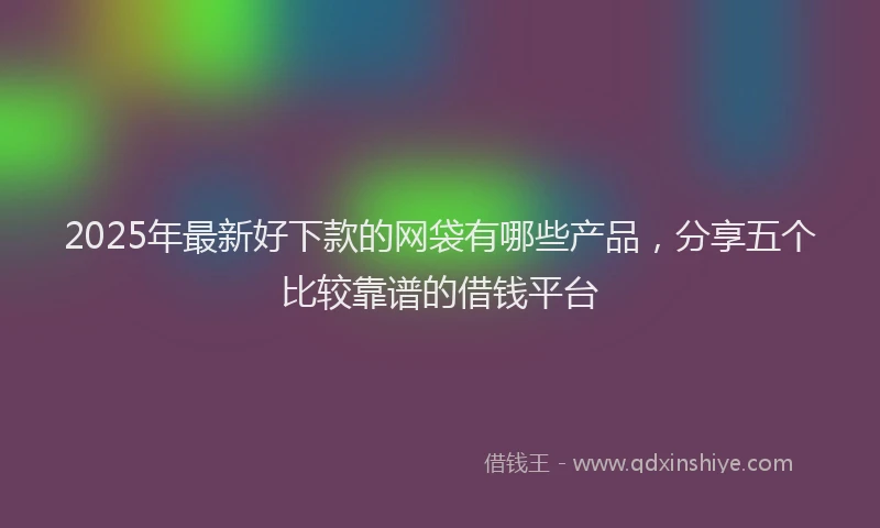 2025年最新好下款的网袋有哪些产品，分享五个比较靠谱的借钱平台