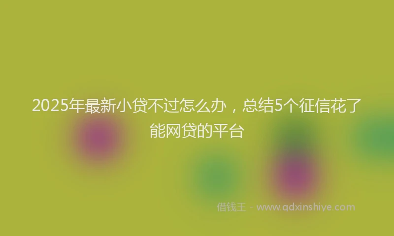 2025年最新小贷不过怎么办，总结5个征信花了能网贷的平台