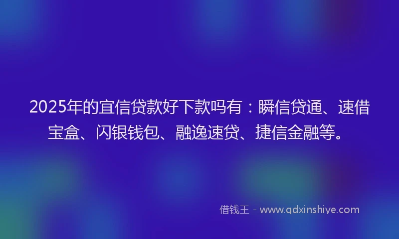 2025年的宜信贷款好下款吗有：瞬信贷通、速借宝盒、闪银钱包、融逸速贷、捷信金融等。