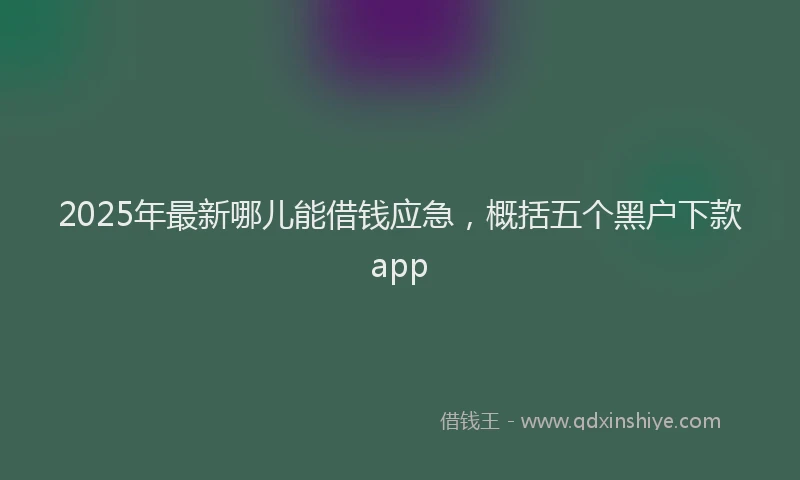 2025年最新哪儿能借钱应急，概括五个黑户下款app