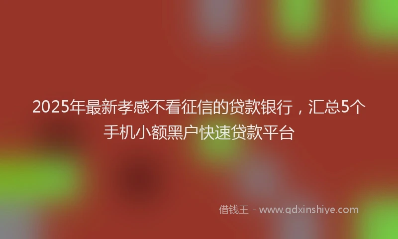 2025年最新孝感不看征信的贷款银行，汇总5个手机小额黑户快速贷款平台