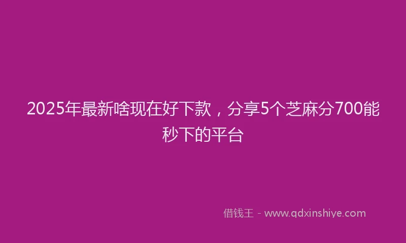 2025年最新啥现在好下款，分享5个芝麻分700能秒下的平台