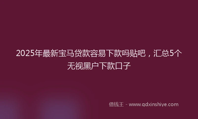 2025年最新宝马贷款容易下款吗贴吧，汇总5个无视黑户下款口子