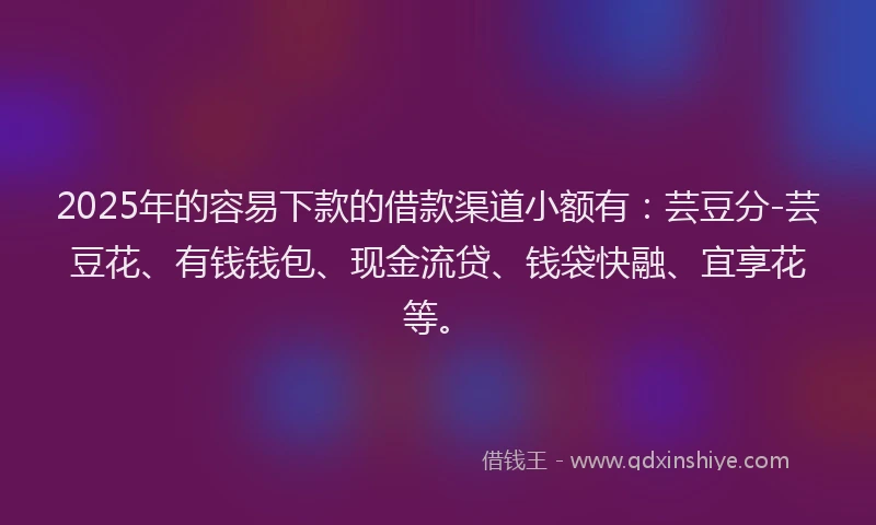 2025年的容易下款的借款渠道小额有：芸豆分-芸豆花、有钱钱包、现金流贷、钱袋快融、宜享花等。