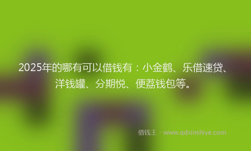 2025年的哪有可以借钱有：小金鹤、乐借速贷、洋钱罐、分期悦、便荔钱包等。