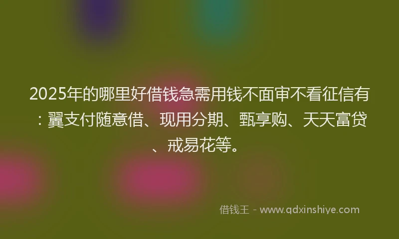 2025年的哪里好借钱急需用钱不面审不看征信有：翼支付随意借、现用分期、甄享购、天天富贷、戒易花等。