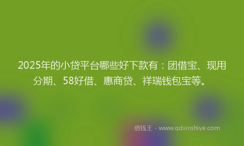 2025年的小贷平台哪些好下款有：团借宝、现用分期、58好借、惠商贷、祥瑞钱包宝等。