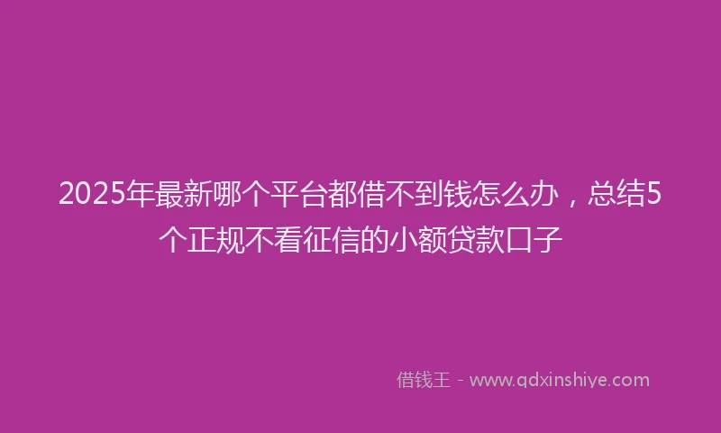 2025年最新哪个平台都借不到钱怎么办，总结5个正规不看征信的小额贷款口子