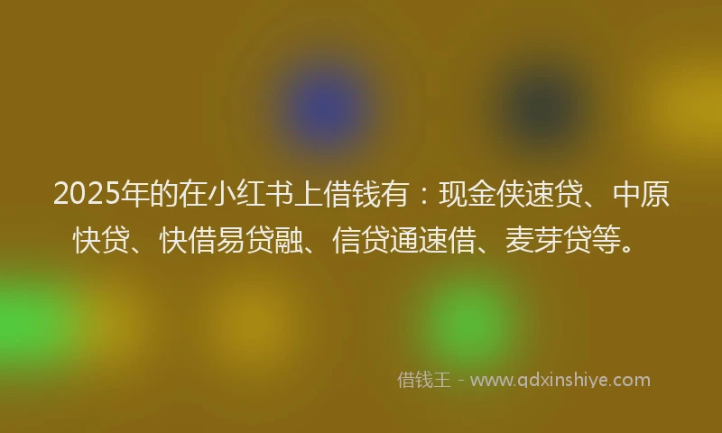 2025年的在小红书上借钱有：现金侠速贷、中原快贷、快借易贷融、信贷通速借、麦芽贷等。