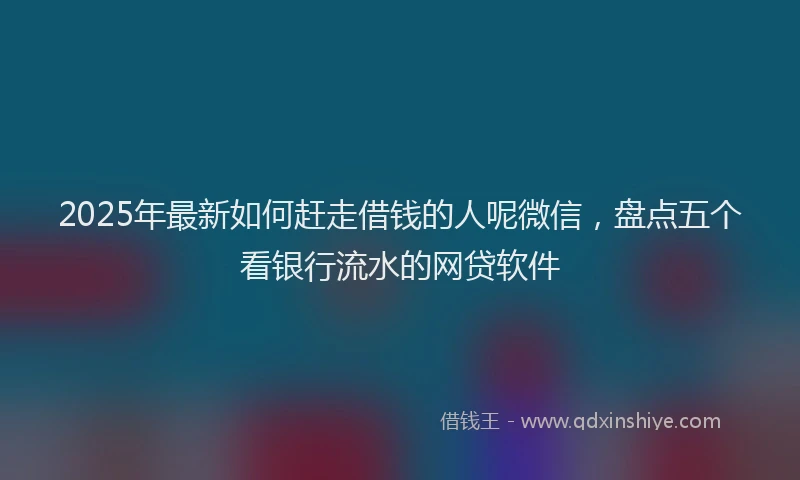 2025年最新如何赶走借钱的人呢微信，盘点五个看银行流水的网贷软件