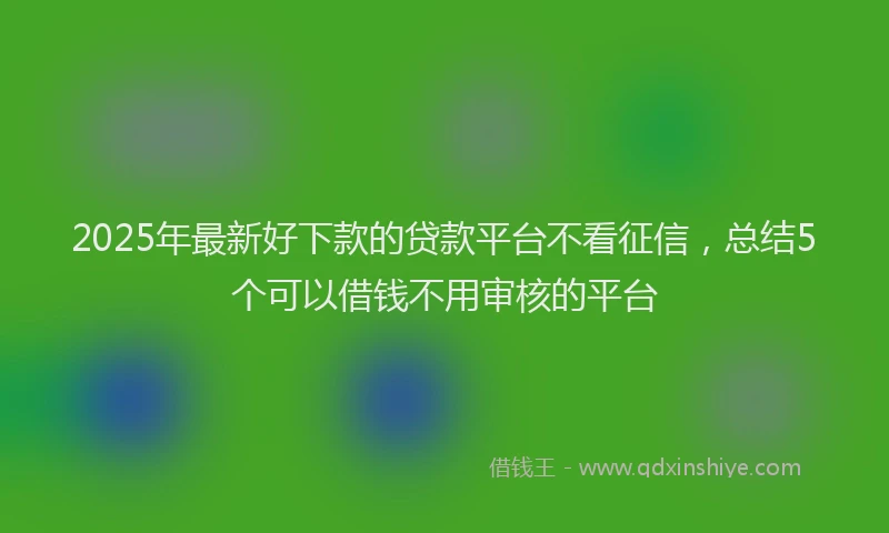 2025年最新好下款的贷款平台不看征信，总结5个可以借钱不用审核的平台