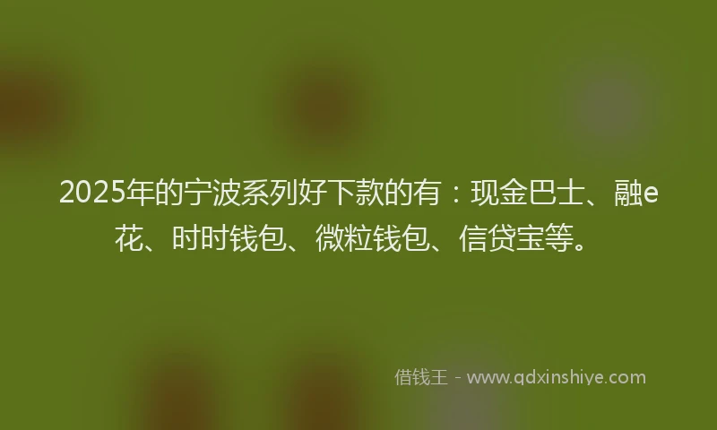 2025年的宁波系列好下款的有：现金巴士、融e花、时时钱包、微粒钱包、信贷宝等。