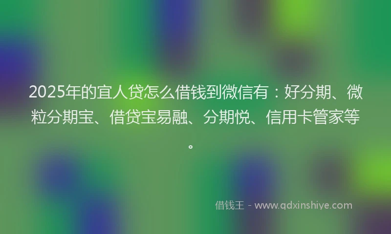 2025年的宜人贷怎么借钱到微信有：好分期、微粒分期宝、借贷宝易融、分期悦、信用卡管家等。