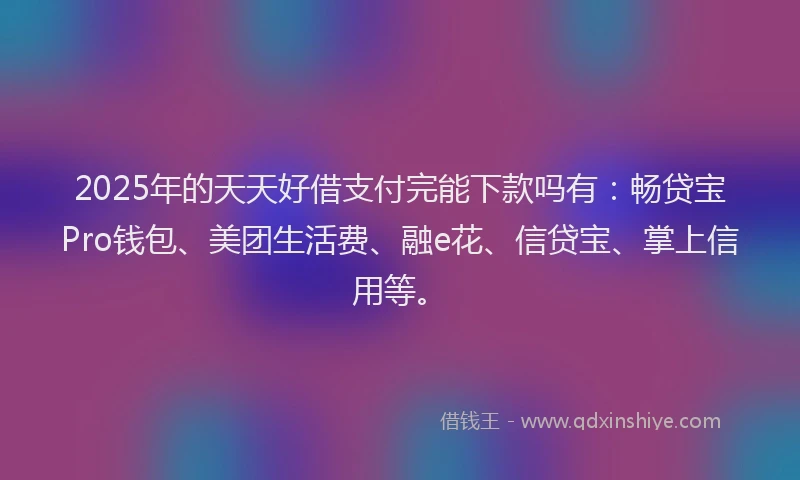 2025年的天天好借支付完能下款吗有：畅贷宝Pro钱包、美团生活费、融e花、信贷宝、掌上信用等。
