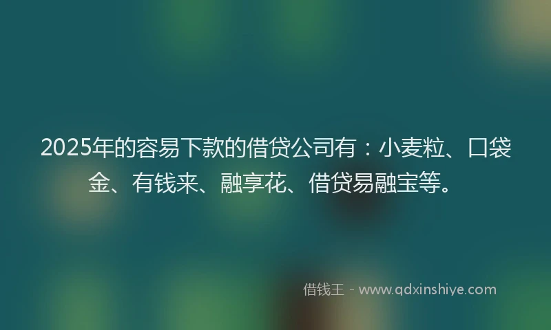 2025年的容易下款的借贷公司有：小麦粒、口袋金、有钱来、融享花、借贷易融宝等。