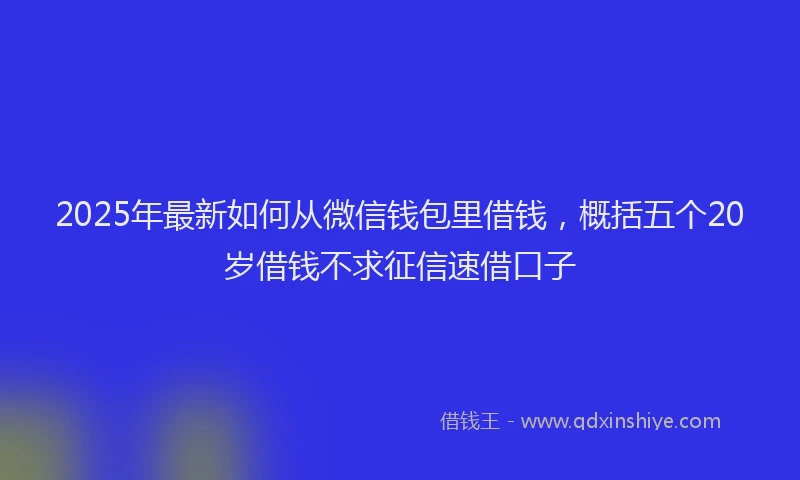 2025年最新如何从微信钱包里借钱，概括五个20岁借钱不求征信速借口子