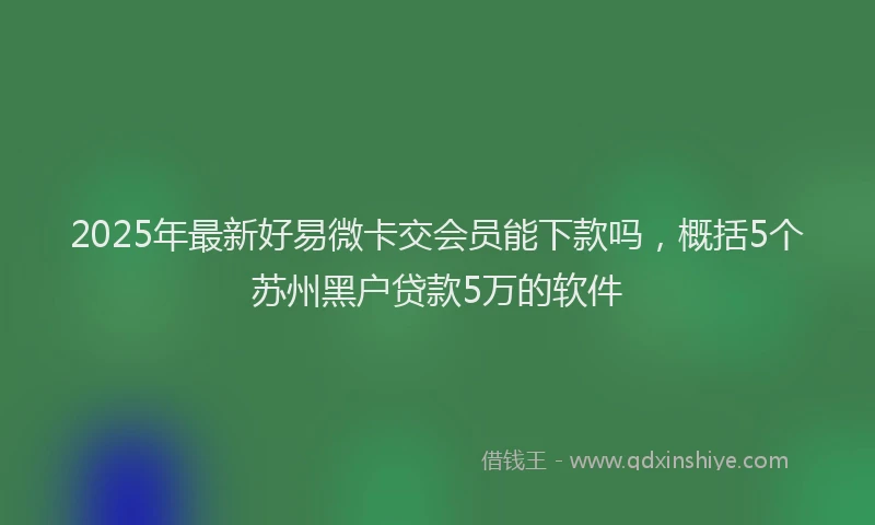 2025年最新好易微卡交会员能下款吗，概括5个苏州黑户贷款5万的软件