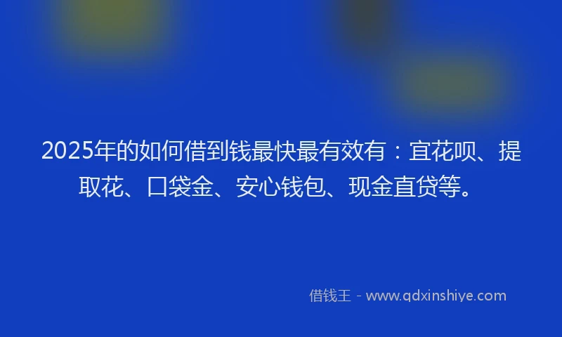 2025年的如何借到钱最快最有效有：宜花呗、提取花、口袋金、安心钱包、现金直贷等。