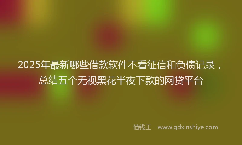 2025年最新哪些借款软件不看征信和负债记录，总结五个无视黑花半夜下款的网贷平台