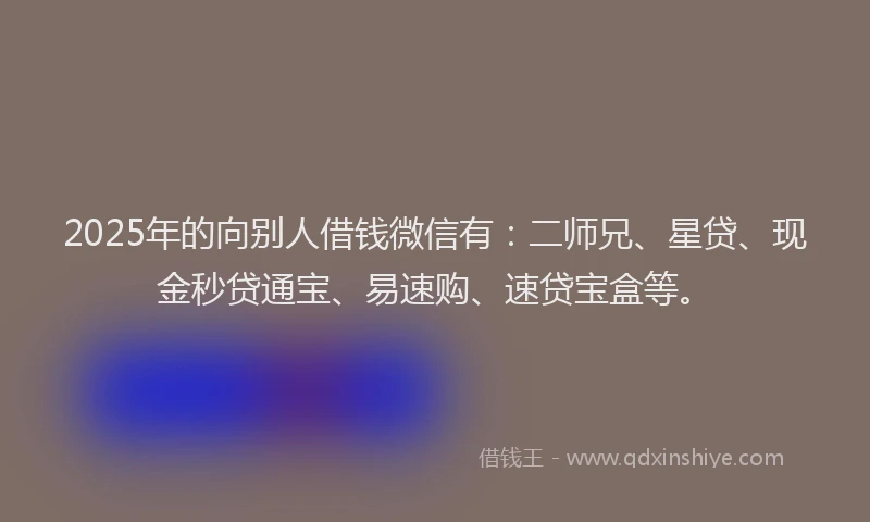 2025年的向别人借钱微信有：二师兄、星贷、现金秒贷通宝、易速购、速贷宝盒等。